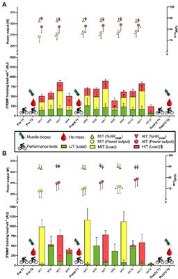 No Differences Between 12 Weeks of Block- vs. Traditional-Periodized Training in Performance Adaptations in Trained Cyclists